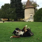 Chateau De Maumont