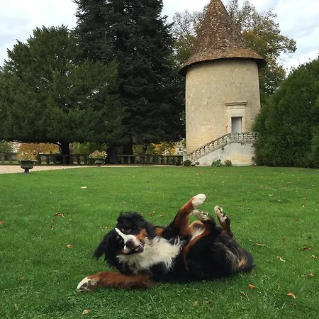 Chateau De Maumont